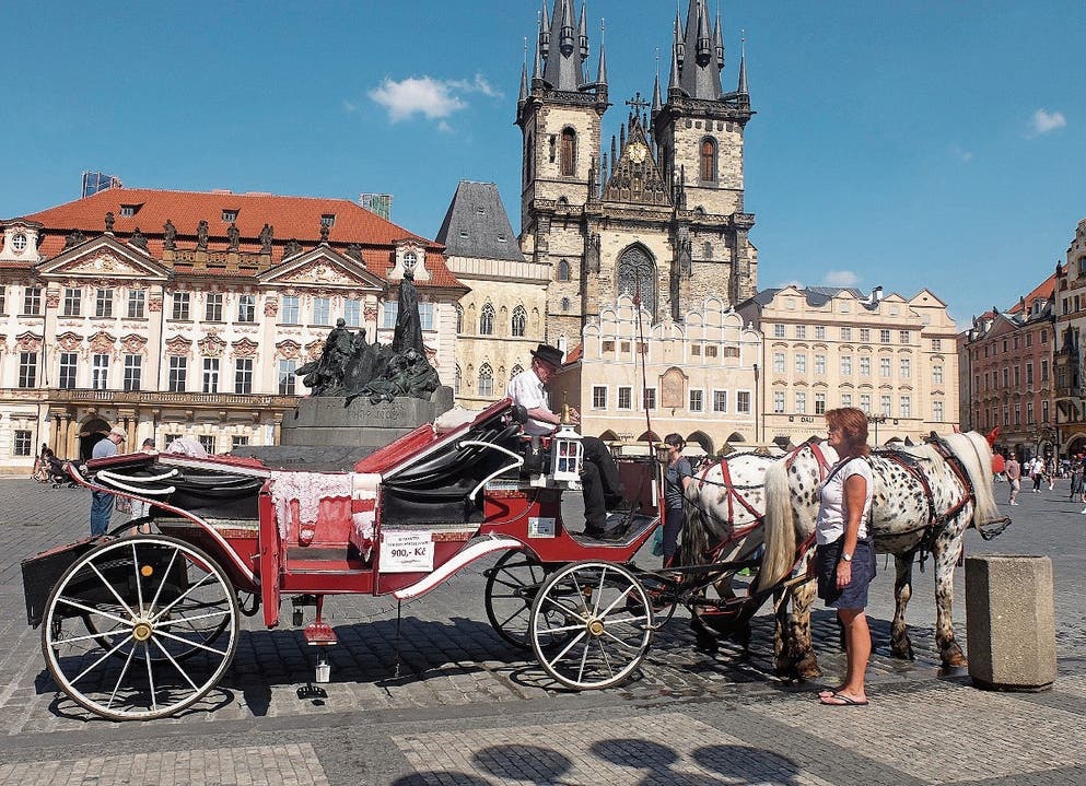 Am Altstädter Ring in Prag wartet ein Fiakergespann auf Kundschaft.