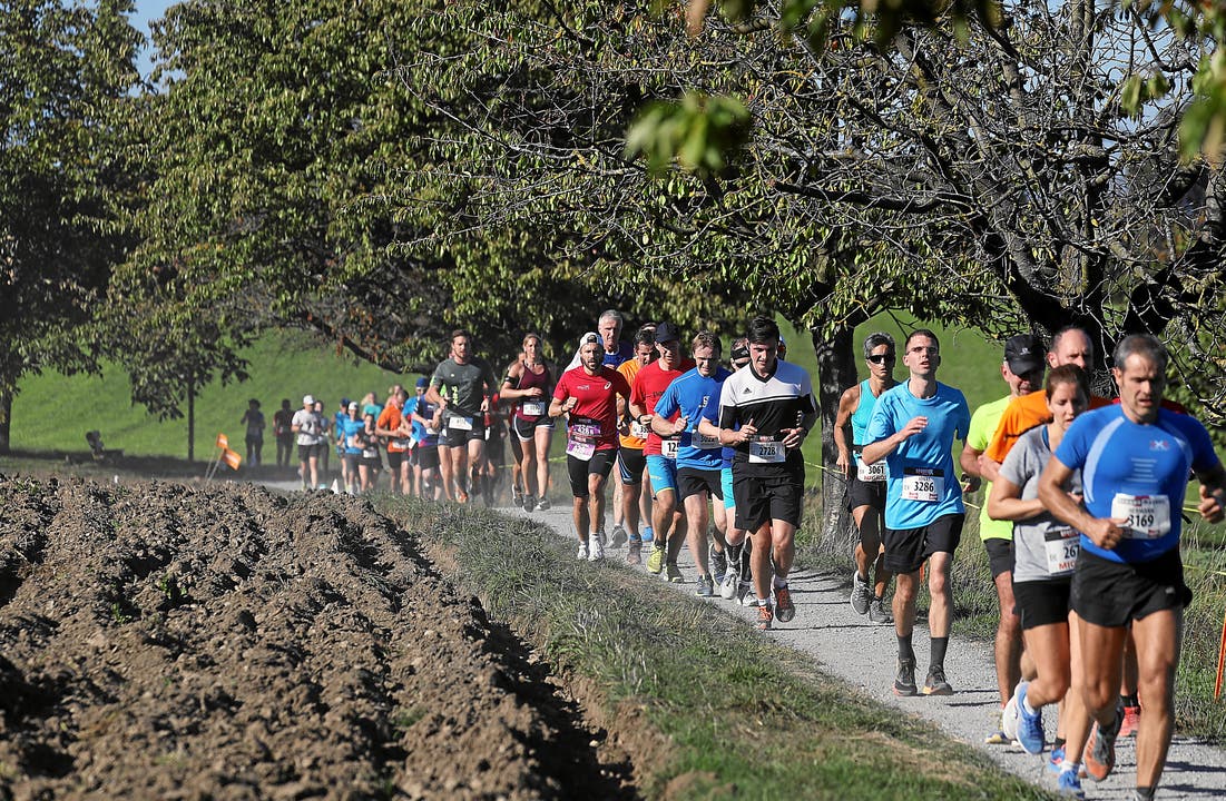 Der Halbmarathon führt die Läufer durch eine geschützte Uferlandschaft. (Bild: Andy Mettler/Swiss Image)