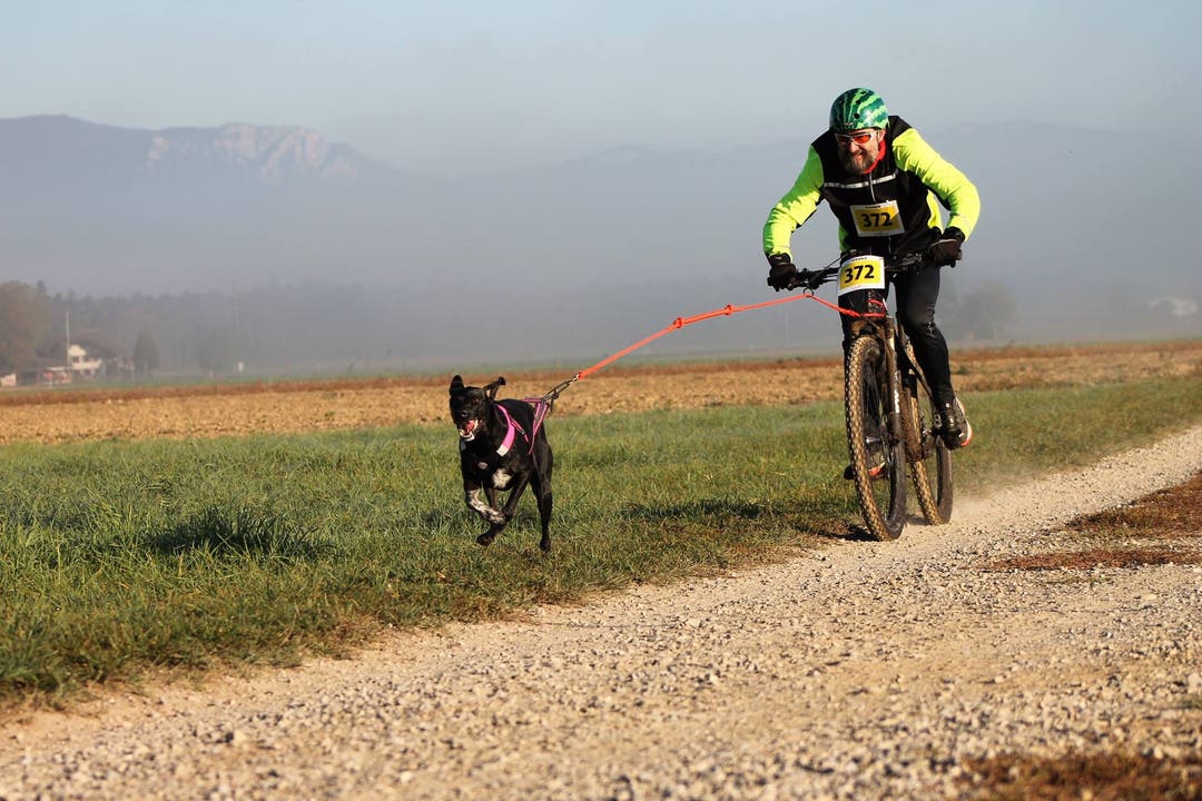 Hanspeter Krummenacher mit einem seiner Hunde an einem Rennen.