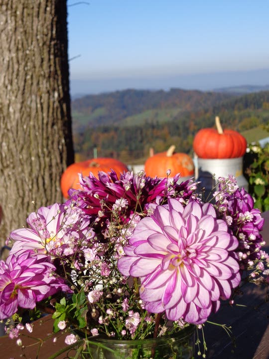 Herbstliche Dekoration bei der Brestenegg. (Heidi Bucher, 13. Oktober 2018))