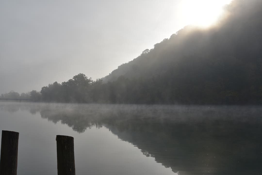 Kampf der Titanen. Nach hartem Kampf, hat die Sonne gegen 1000 h den über dem Rhein liegenden Nebel nahezu gänzlich "aufgekocht", wie die aufsteigenden "Dampf-schwaden" belegen. (Bild: Max Gibel (Rüdlingen, 18. Oktober 2018))