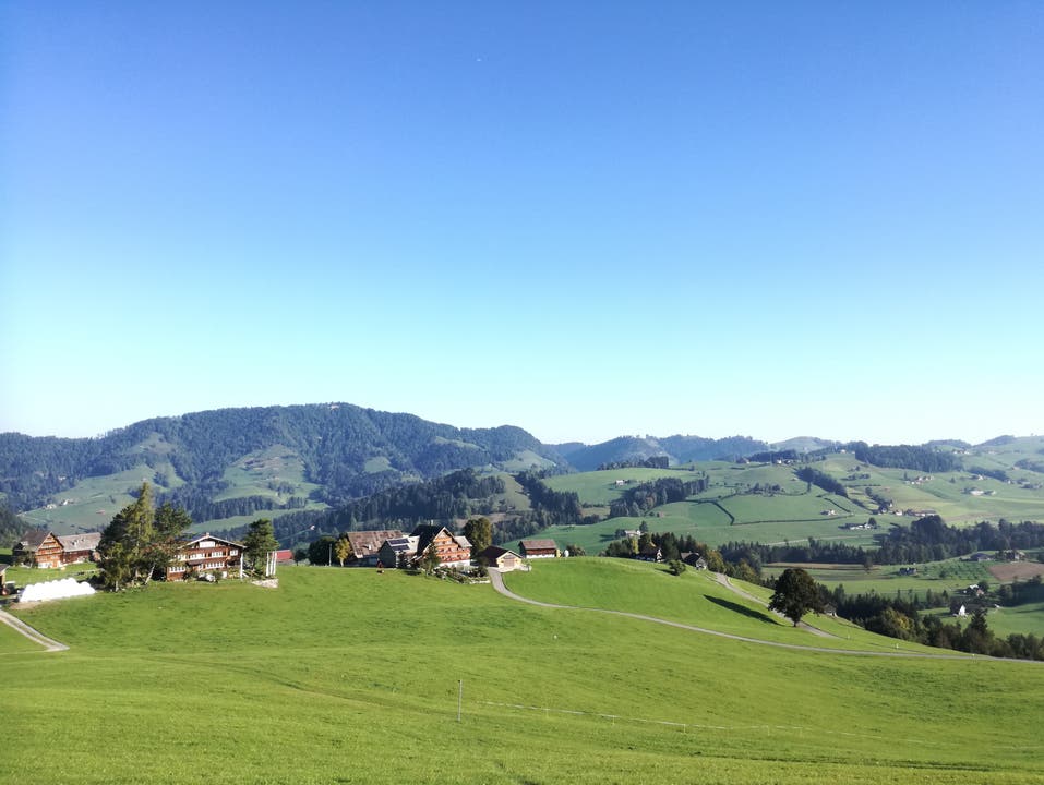Schon nach kurzer Zeit ist das Dorf Hemberg durchquert und der Blick auf das Neckertal frei. (Bild: Marlen Hämmerli)