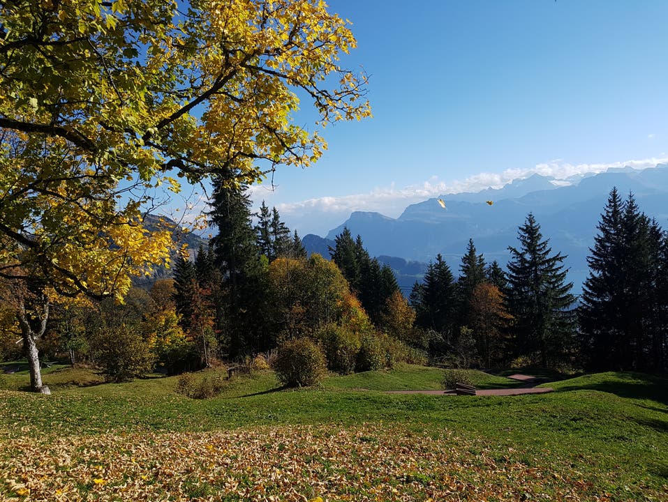 Blick vom Panoramaweg auf der Rigi. (Claude Veltin (Rigi Chänzeli, 16. Oktober 2018))
