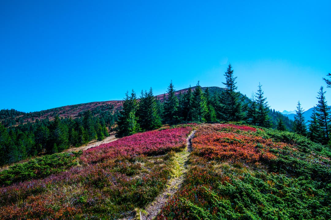 Kurz vor dem Gipfel, voller Farben. (Bild: Vinzenz Blum (Brisen, 20. Oktober 2018))