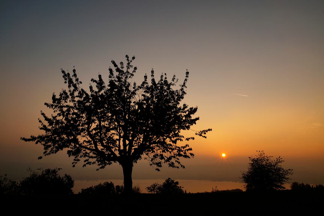 Sonnenuntergang, aufgenommen auf dem Eichberg. (Bild: Marianne Schmid)