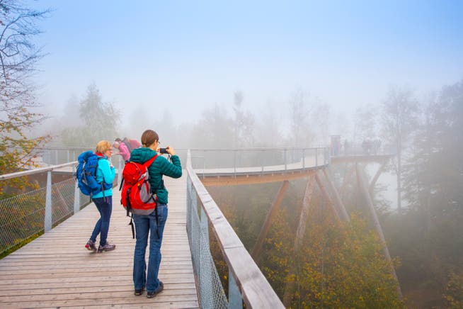 Auch bei Nebel zieht es viele Touristen zum Baumwipfelpfad in Mogelsberg. (Bild: Urs Bucher)