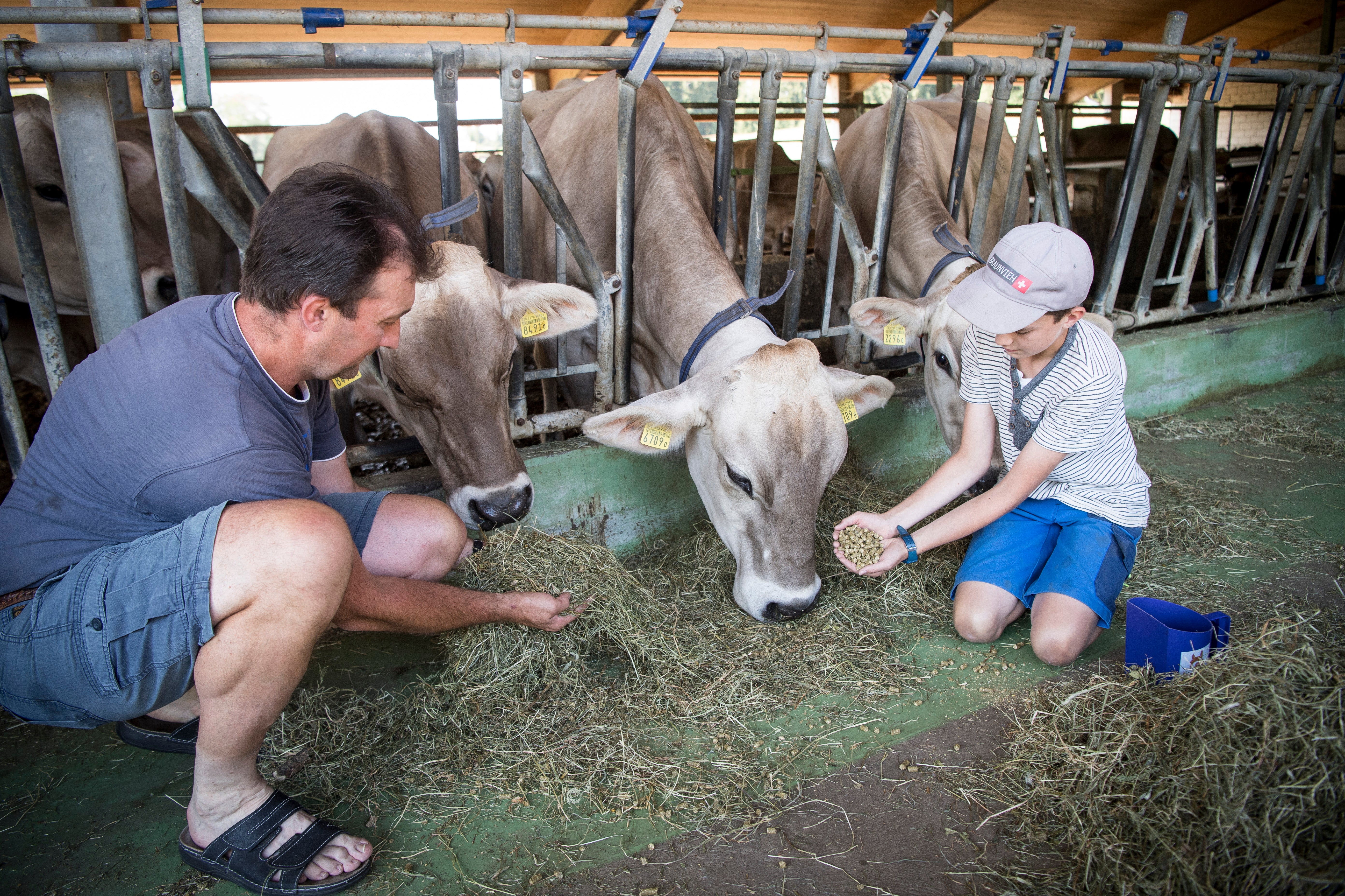 Interview: Wie Geht Es Den Landwirten In Der Region?