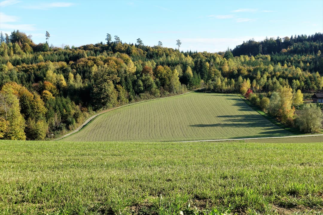 Agrar- und Waldgebiet beim Wannenhof, Unterkulm. (Bild: Josef Habermacher (Unterkulm, 24. Oktober 2018))