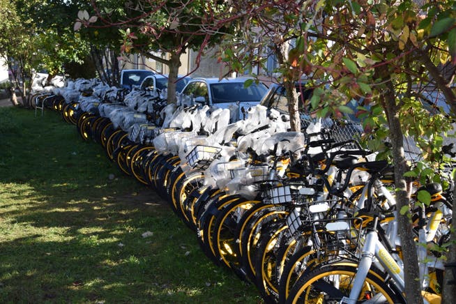 Zu Dutzenden sind die O-Bikes hinter dem Restaurant Bahnhöfli an der Säntisstrasse in Wil aufgereiht. (Bild: Gianni Amstutz)