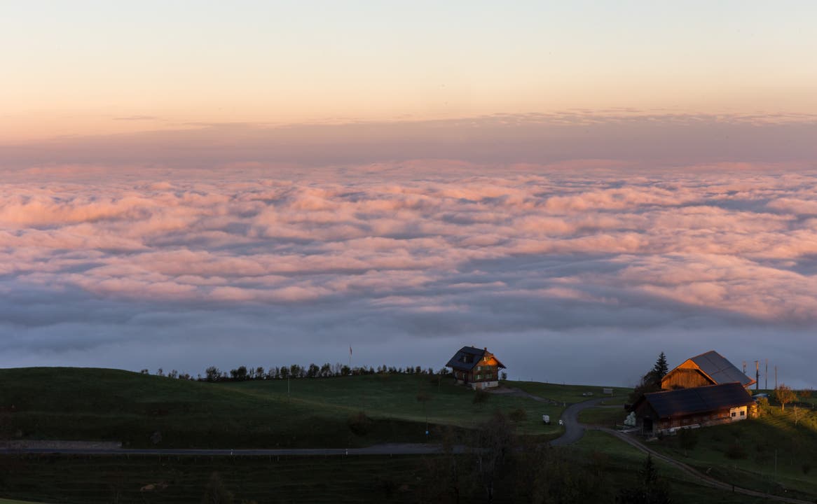 Morgenrot über dem Nebelmeer. Blick auf Zug. (Bild: Daniel Hegglin) 