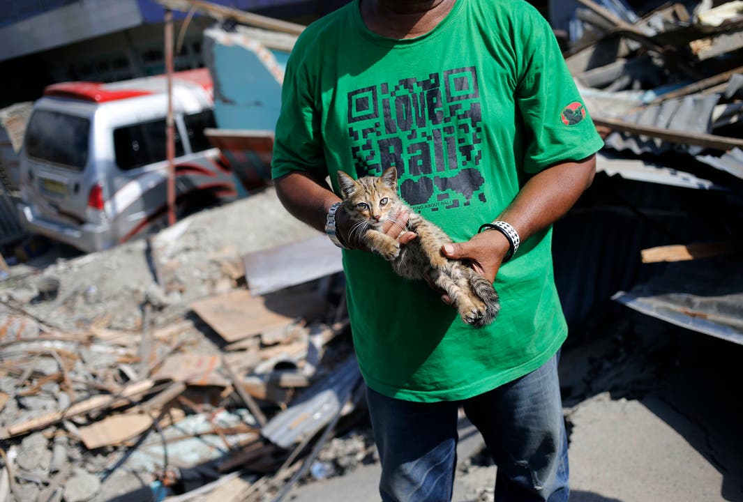 Sa'adon Lawira hält die Katze seines Enkelsohns. Der Grossvater fand den leblosen Körper seines Enkels dank dem Miauen der Katze und den Trümmern seines Hauses in Palu. (Bild: AP Photo/Dita Alangkara)