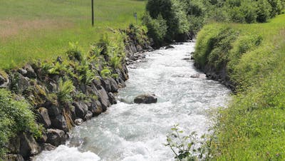 Das Wasser des Erstfelder Alpbachs soll für die Stromproduktion genutzt werden. (Bild: Paul Gwerder, 26. März 2018)