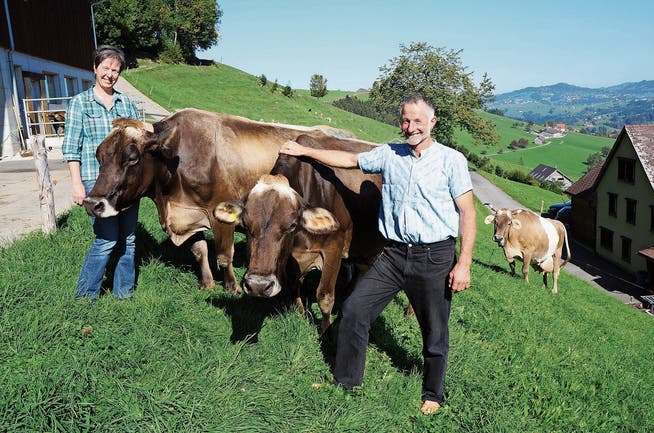 Karin und Josef Knellwolf haben Freude an ihren Kühen Adona (links) und Alpina. (Bild: Martin Brunner)