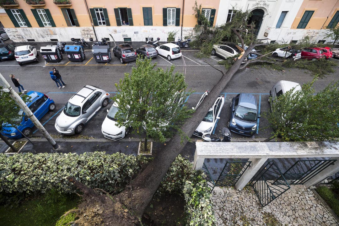 Der Baum blockierte diese Strasse in Rom. (Bild: Angelo Carconi/ANSA via AP (29. Oktober 2019))