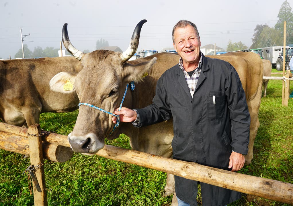 Viehhändler Willy Zumstein aus Sarnen wirbt für seine gehornten Kühe. (Bild: Romano Cuonz, 5. Oktober 2018)