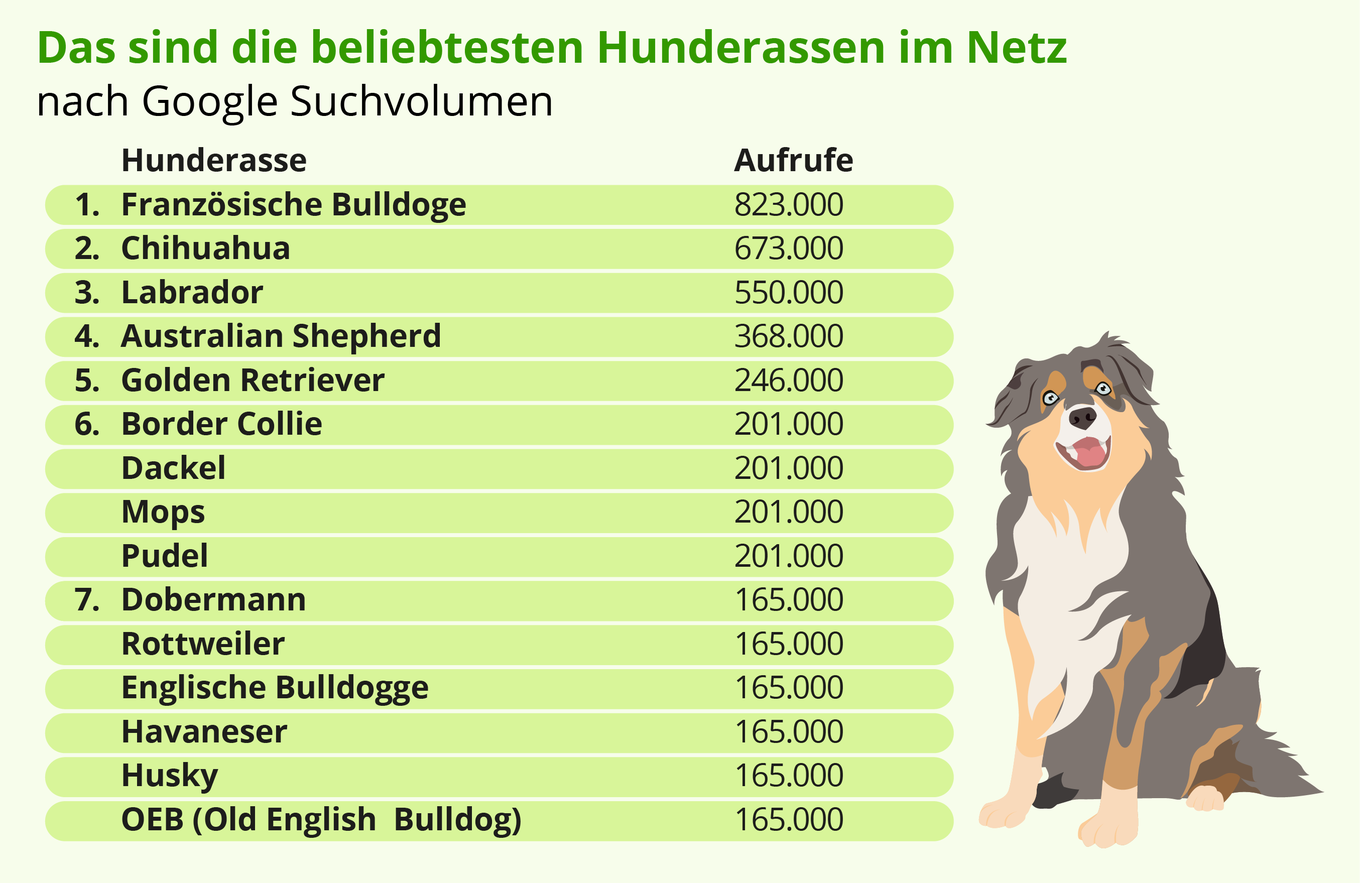 Welttag des Hundes Das sind die beliebtesten Hunderassen im Netz Welttag des Hundes Das sind die beliebtesten Hunderassen im Netz