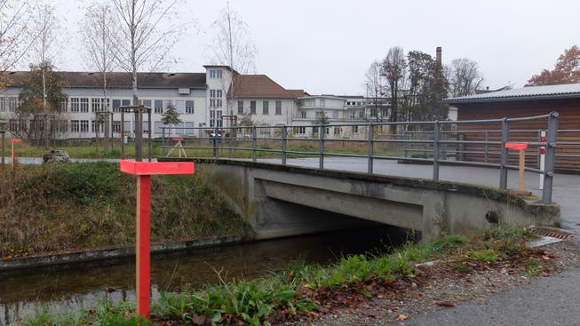 Vier Visiere markieren die Eckpunkte der neuen Brücke. Jenseits des Kanals stehen die beiden Birken dazwischen. (Bild: Stefan Hilzinger)