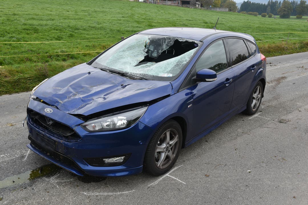 Neuenkirch - 2. NovemberEine Autofahrerin ist mit einem Rind zusammengestossen. Die Lenkerin wurde leicht, das Rind erheblich verletzt. (Bild: Luzerner Polizei)
