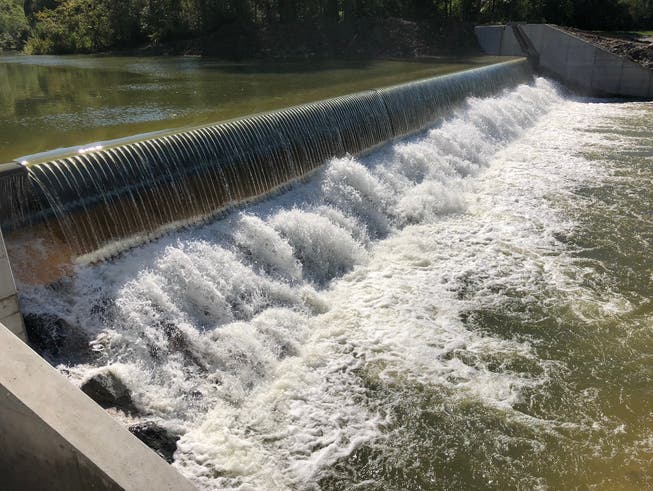 Das Kleinwasserkraftwerk Grafenau ist nach einjähriger Bauzeit in Betrieb genommen worden. (Bild: PD)