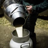 Im Thurgau ist um die Abgaben pro Kilo Milch längst ein Streit entbrannt. (Bild: Luca Linder)