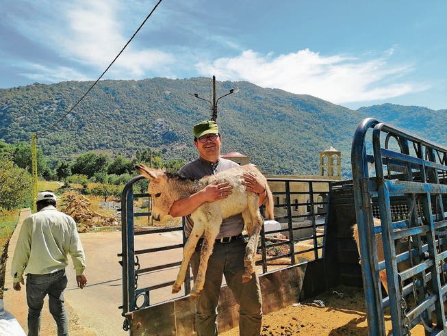 Der Diakon und Seelsorger der Seelsorgeeinheit Neutoggenburg, Andreas Barth, im Libanon. In seinen Armen das für die tiergestützte Therapie erworbene Eselsfohlen. (Bild: PD)
