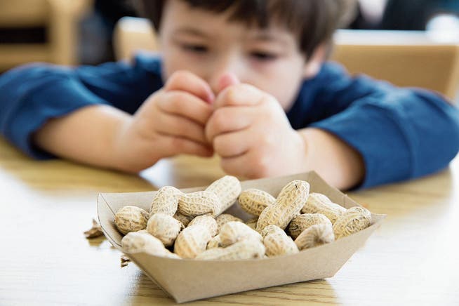 Erdnüsse sollten ausserhalb der Reichweite von kleinen Kindern sein. (Bild: Getty)