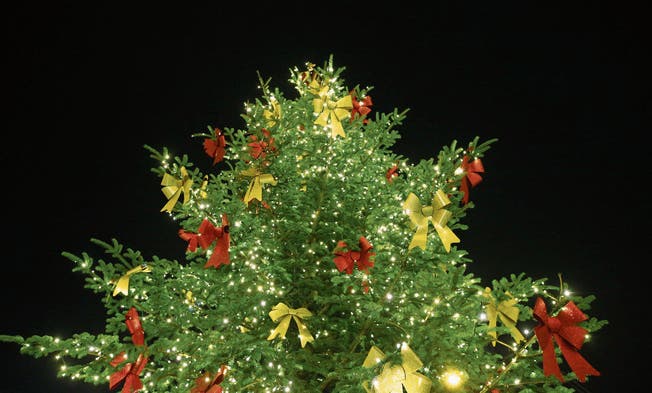 Bald ist auch der Weihnachtsbaum in den Zuger Wohnzimmern geschmückt. (Bild: Stefan Kaiser (Zug, 19. Dezember 2017))