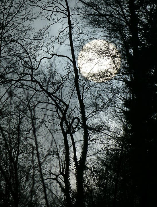 Bevor der Mond aufsteigt, muss die Sonne , die sich durch den Nebel und die Wolken kämpft, untergehen. (Bild: Josef Lustenberger)