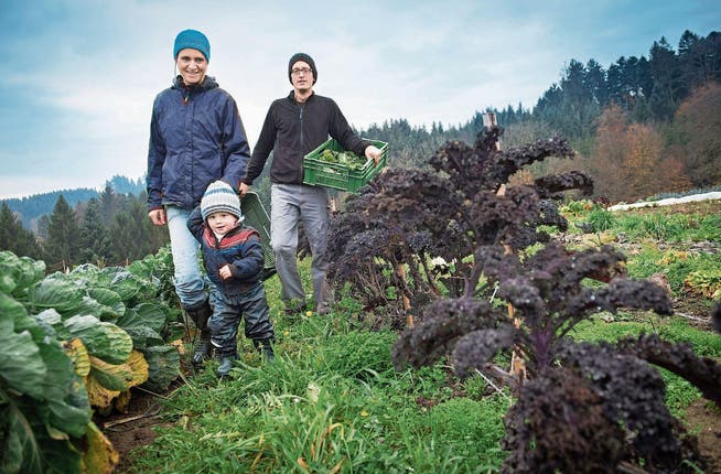 Claudia Meierhans und Markus Schwegler Meierhans mit Sohn Mael in ihrem Gemüsegarten.