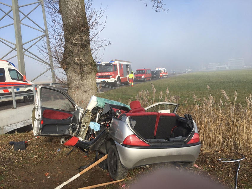 ESCHENBACH: Auto Prallt Frontal Gegen Baum – Fahrer Schwer Verletzt