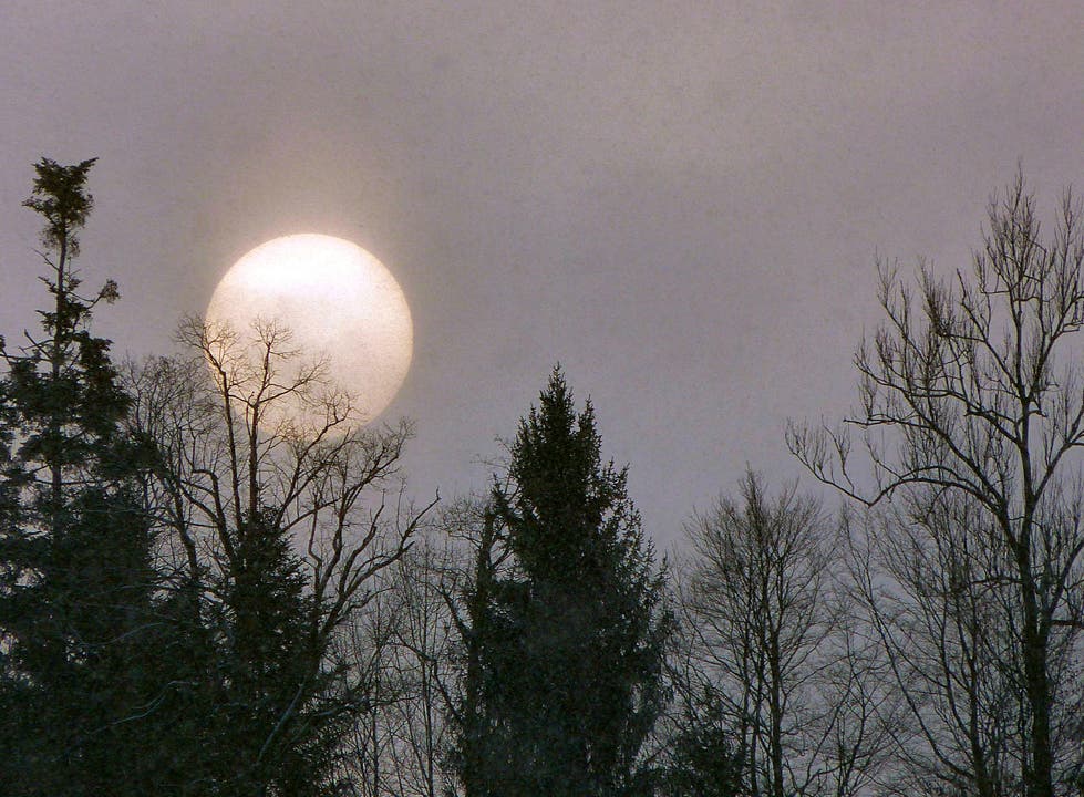 Der Mond ist aufgegangen ... Dem ist aber nicht so. Hier kämpft sich die Sonne um 08:33 Uhr durch den Hochnebel. (Bild: Josef Lustenberger)