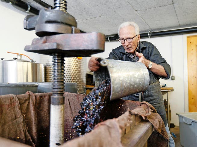 Der Walchwiler Winzer Klaus Süsse füllt die Maische in die alte Weinpresse. (Bild Stefan Kaiser)