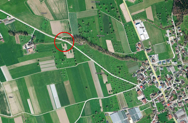 Der Unfall ereignete sich zwischen Altwis und Mosen bei der Brücke über den Altwiserbach. (Bild: Screenshot / luzernerzeitung.ch)