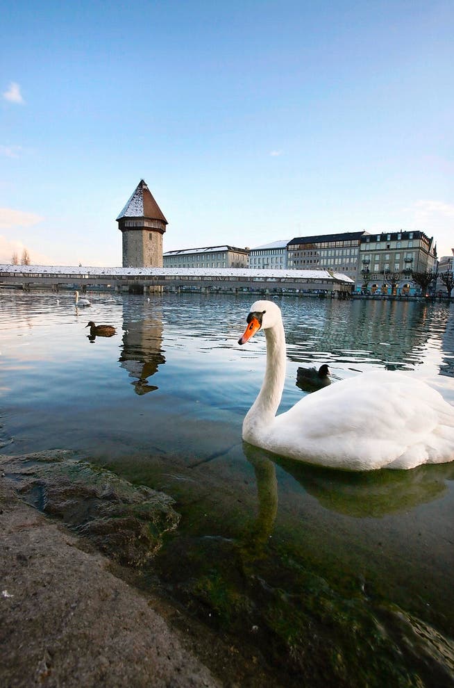 Die Aussenwahrnehmung Luzerns ist stark vom Tourismus geprägt. Hier die Kapellbrücke mit Wasserturm. (Archivbild Manuela Jans)