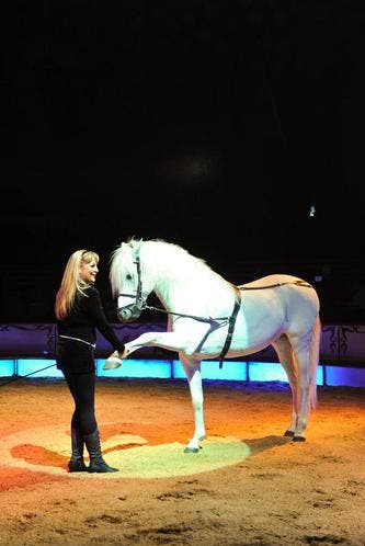 Franziska Nock mit ihrer Pferdenummer. (Bild: Remo Nägeli / Neue LZ)