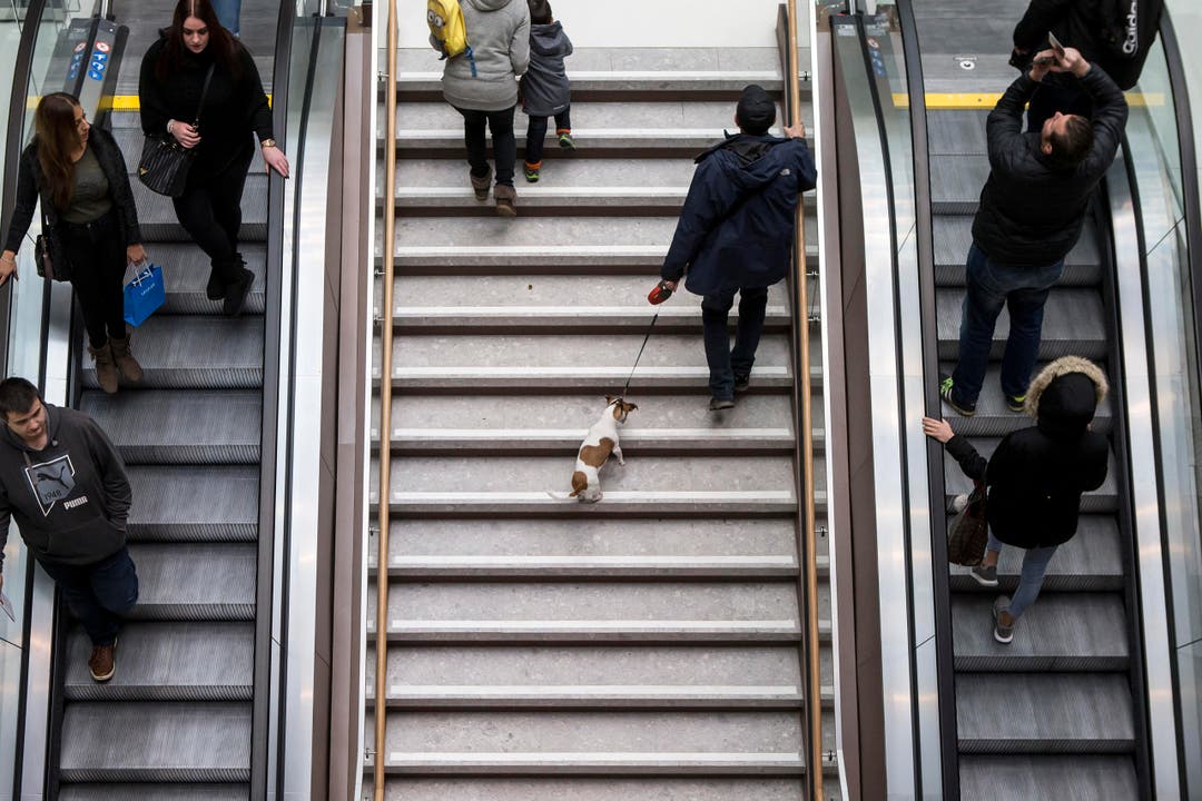 Besucher auf der (Roll-)Treppe. (Bild: Alexandra Wey/Keystone)