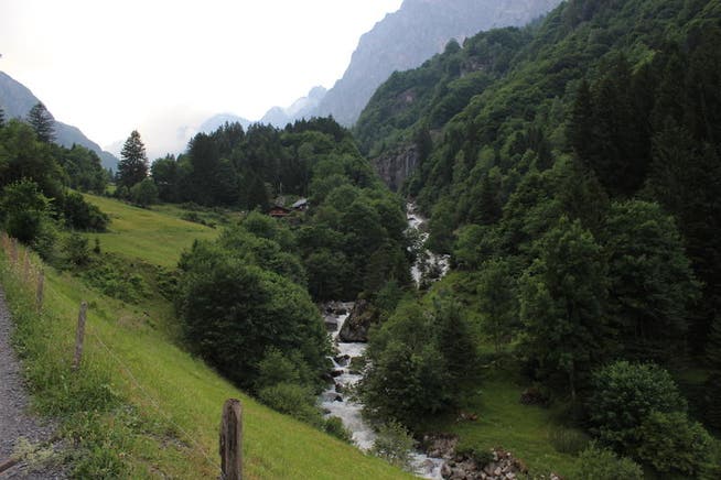 Der Alpbach im Erstfeldertal. (Bild: Elias Bricker (23. Juni 2017))