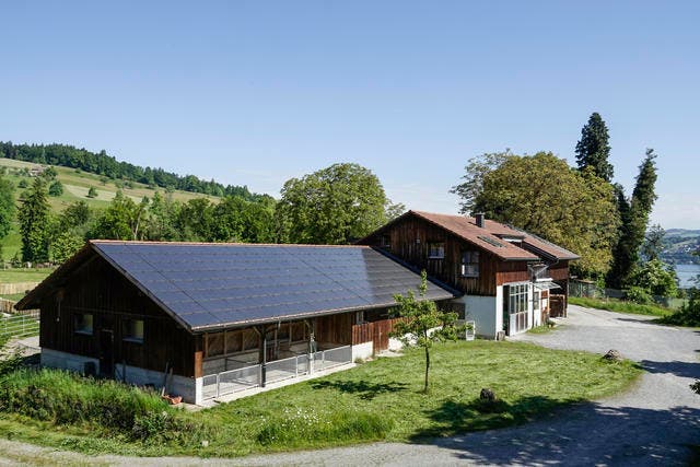 Ganzflächig integrierte Solaranlage auf dem Schweinestall der Familie Unternährer aus Luzern. (Bild: PD)