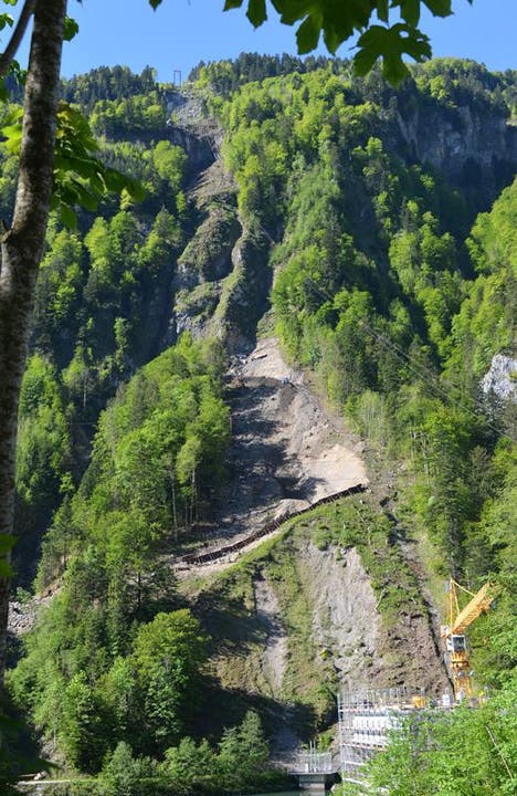 Übersicht über den Steilhang, wo das neue Trassee der Bahn hochführen wird (11.09.2014) (Bild: Bergbahnen Stoos)