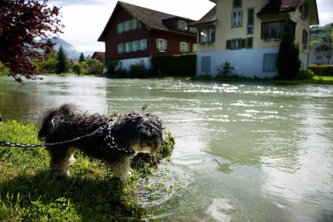 Nach dem Hundewetter stehen im Bereich Rütistrasse in Sarnen einige Häuser fast schon im Wasser. (Bild: Corinne Glanzmann)
