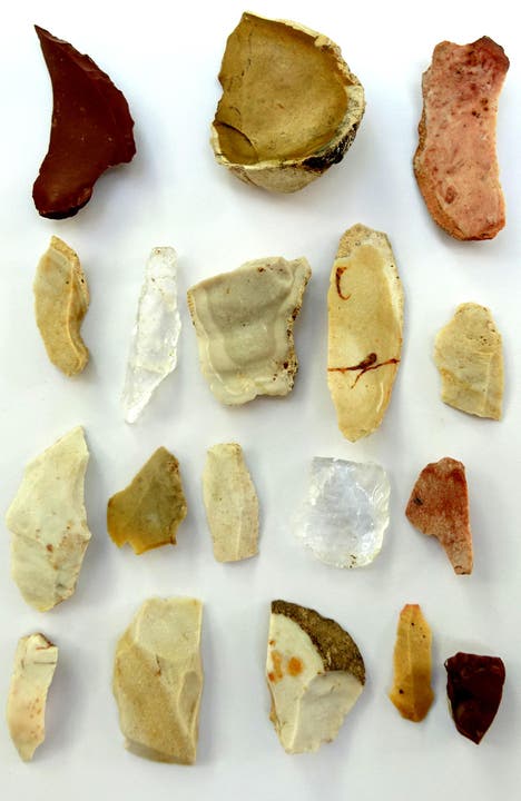 Eine Auswahl verschiedener frühmesolithischer (8000 v. Chr.) Feuersteine. (Bild: PD)