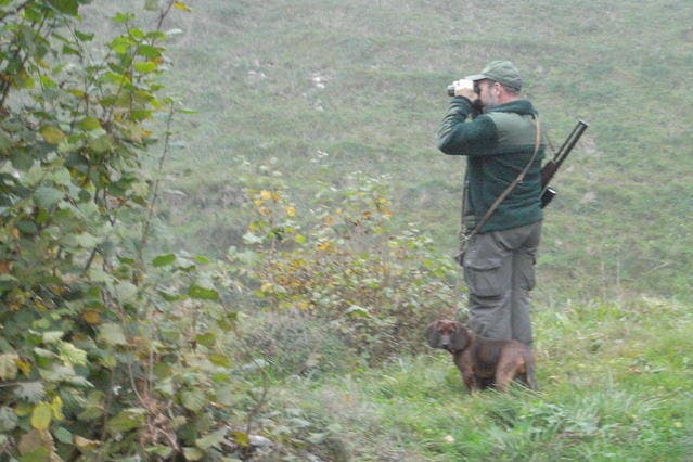 Ein Jäger lauert dem Wild auf. (Bild: Archiv/Neue NZ)