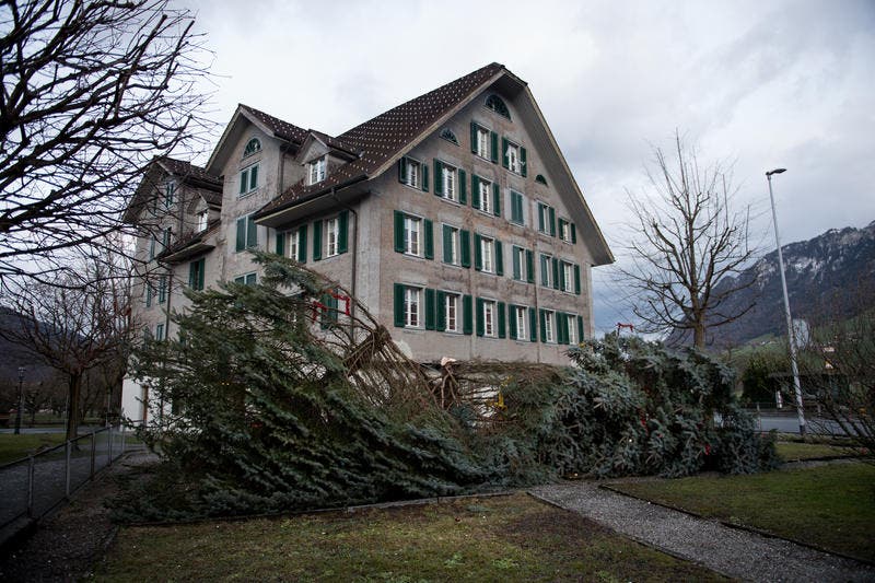 Beim Wohnhaus Mettenweg in Stans wurde der Weihnachtsbaum geköpft. (Bild: Corinne Glanzmann)