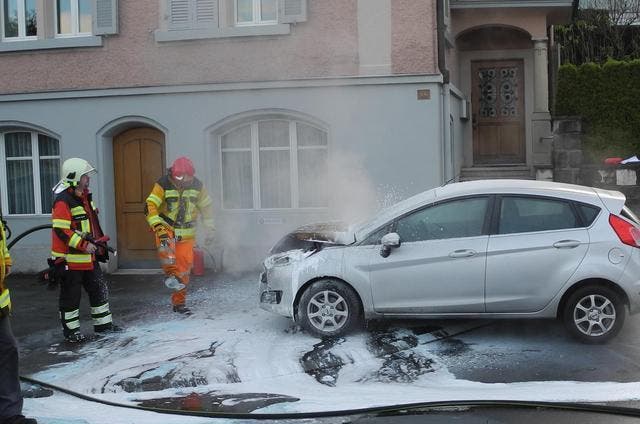 Die Feuerwehr Küssnacht hatte den Brand rasch unter Kontrolle. (Bild: Kantonspolizei Schwyz)