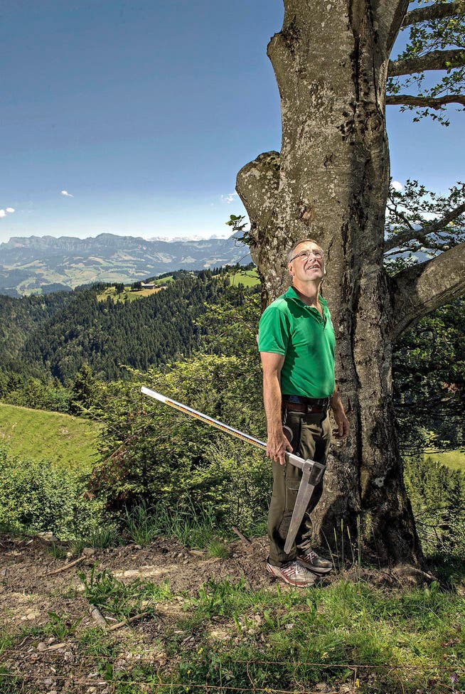 Revierförster Hans Ming (58) steht mit seiner Messkluppe vor einer Buche im Gebiet Oberänzi. Im Hintergrund die Pilatuskette. (Bild Nadia Schärli)