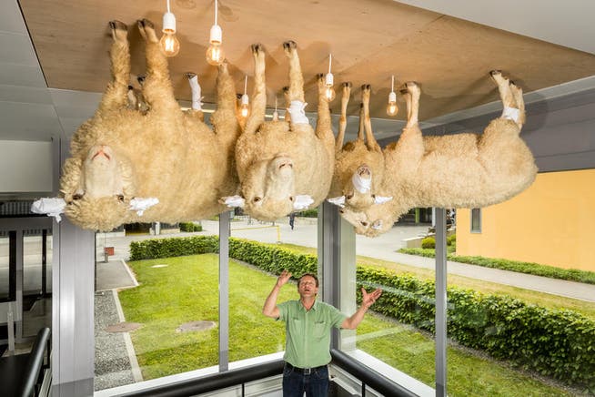 Künstler Wetz betrachtet im Eingangsbereich des Luzerner Kantonsspitals in Sursee sein Werk. Es trägt den Namen «Ein Hörspiel vom Wolf und den sieben Schafen». (Bild: Philipp Schmidli (12. Mai 2017))