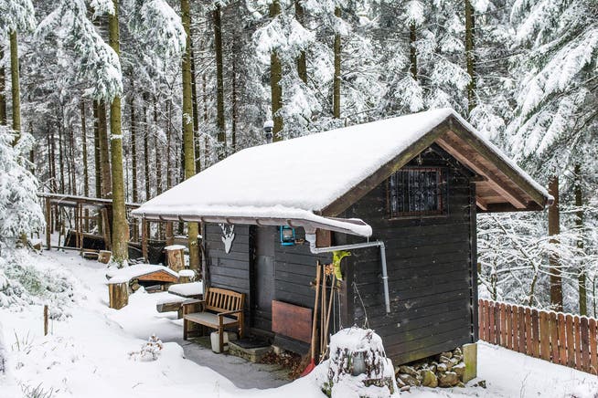 Eines der beiden nicht bewilligten Waldhäuser im Hochwald, die der Gemeinde Kriens gehören. Die Hütte steht in der Nähe der Seilbahnstation Krienseregg. (Bild Roger Grütter)