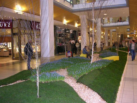 Die blühende Frühlingswiese im Shoppingzenter. (Bild pd)