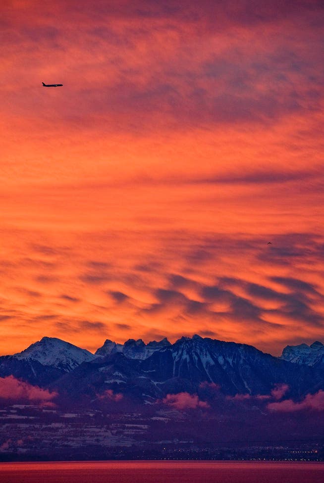 ... Wenn der Alpenfirn sich rötet, betet, freie Schweizer, betet! Der rote Himmel kurz vor Sonnenaufgang, aufgenommen von Tartegnin VD am Genfersee. (Bild: Keystone/Laurent Gilleron)