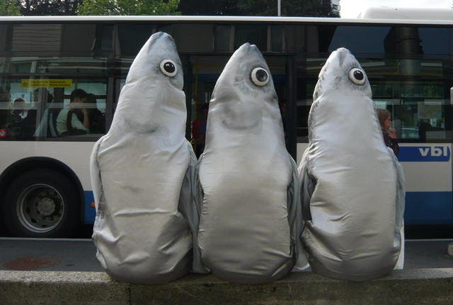Drei lebensgrosse «Sardinen» warten auf den Bus. (Bild Umverkehr/pd)
